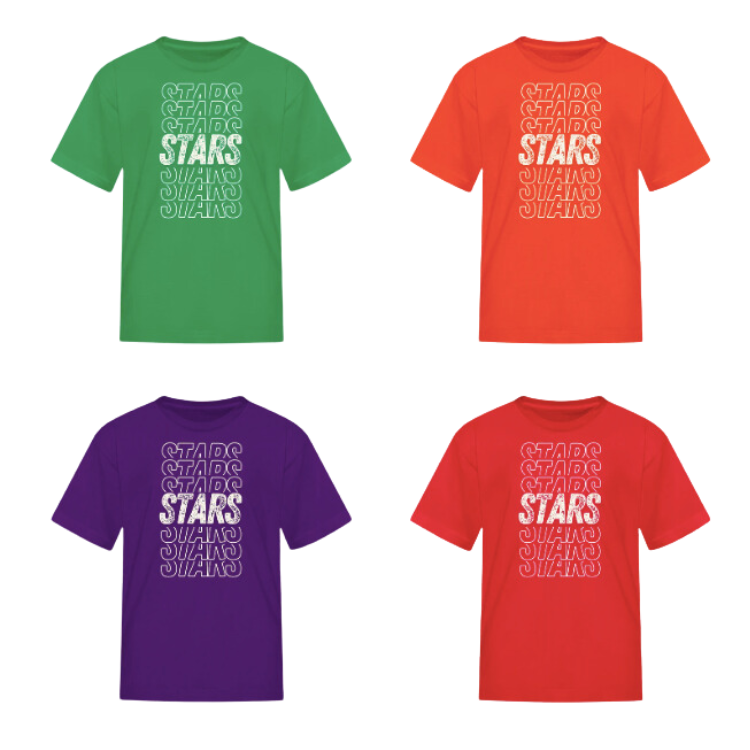 Grade Level Star Tees