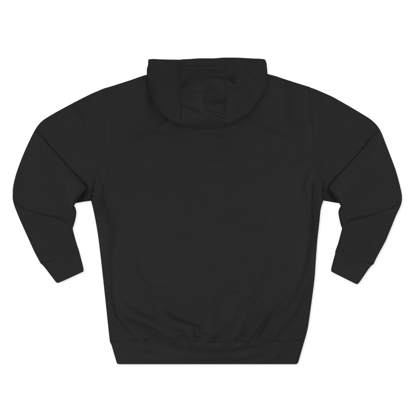 Elevate Northwest | Hoodie 2