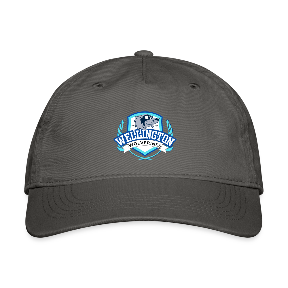 Wellington Adult Organic Baseball Cap 24/25 - charcoal