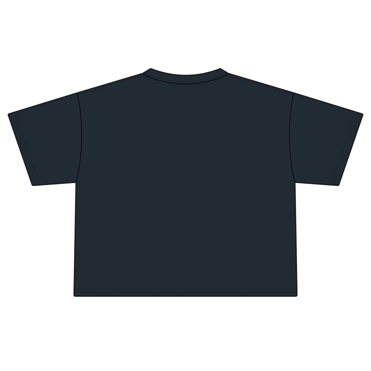 All Stars Softball Boxy Tee — "Woodinville All Stars" Women's Crop T-Shirt