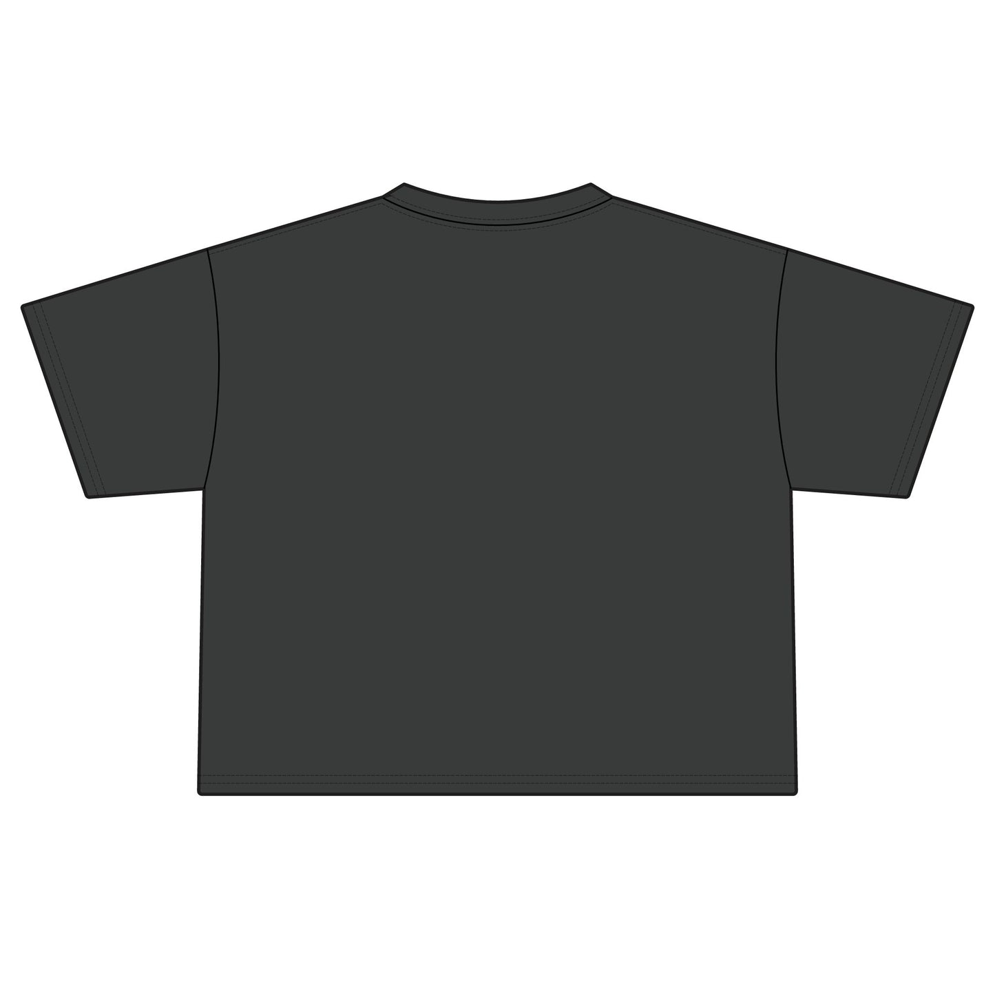 All Stars Softball Boxy Tee — "Woodinville All Stars" Women's Crop T-Shirt