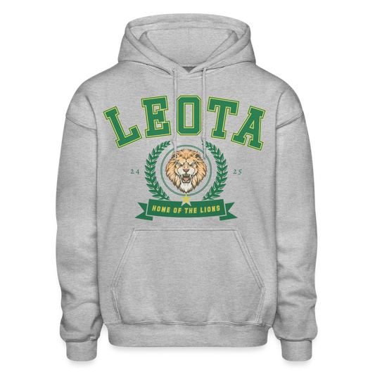 Home of the lions hoodie - heather gray